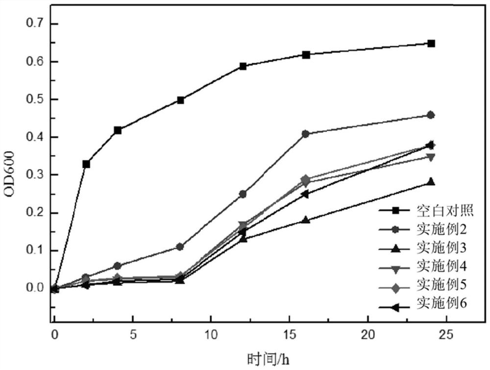 Lithospermum erythrorhizon extract and lip care composition