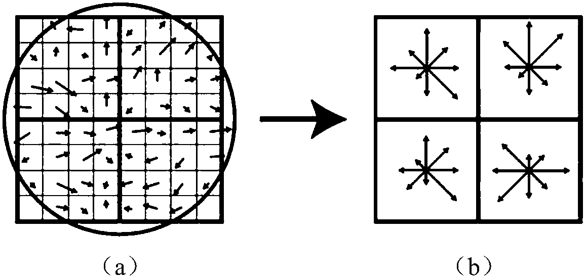 Improved optical flow field model algorithm based on characteristic vector