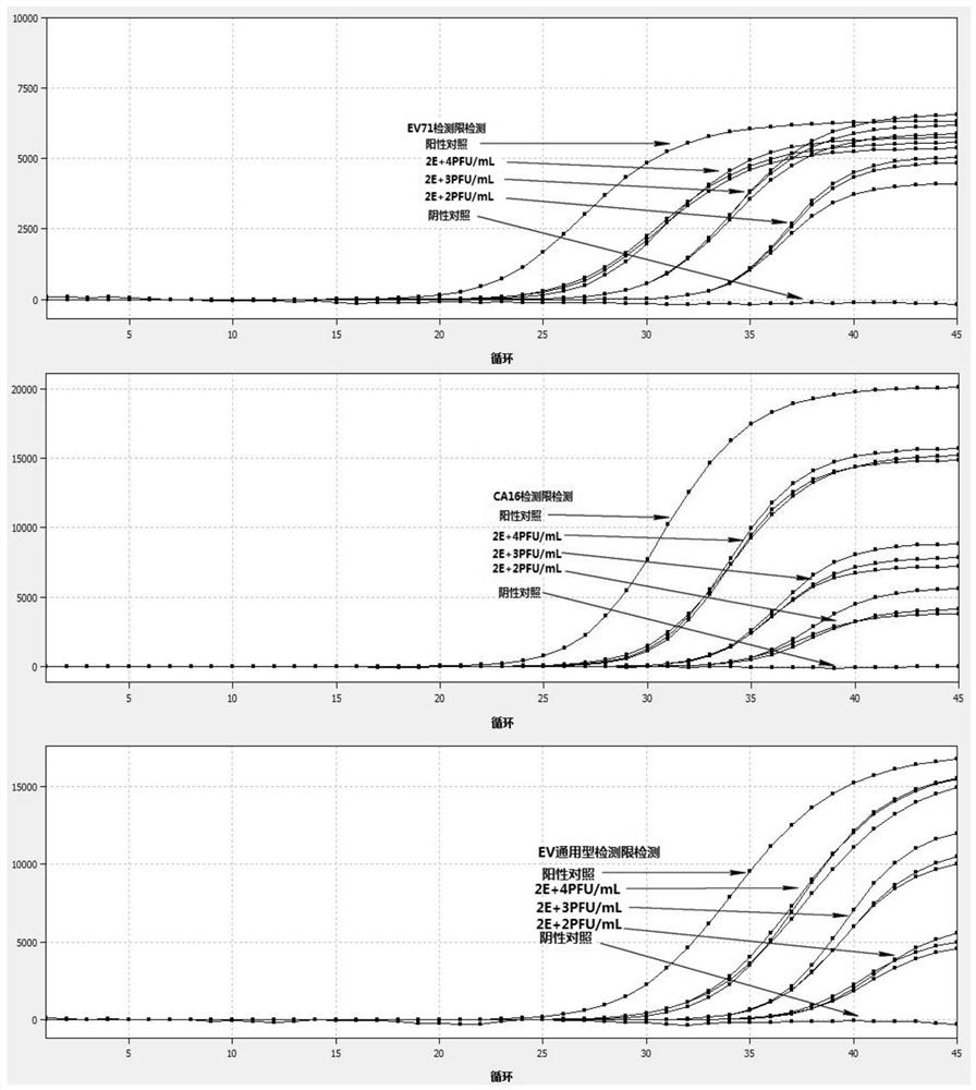 Universal nucleic acid detection reagent for enteroviruses EV71, CA16 and EV