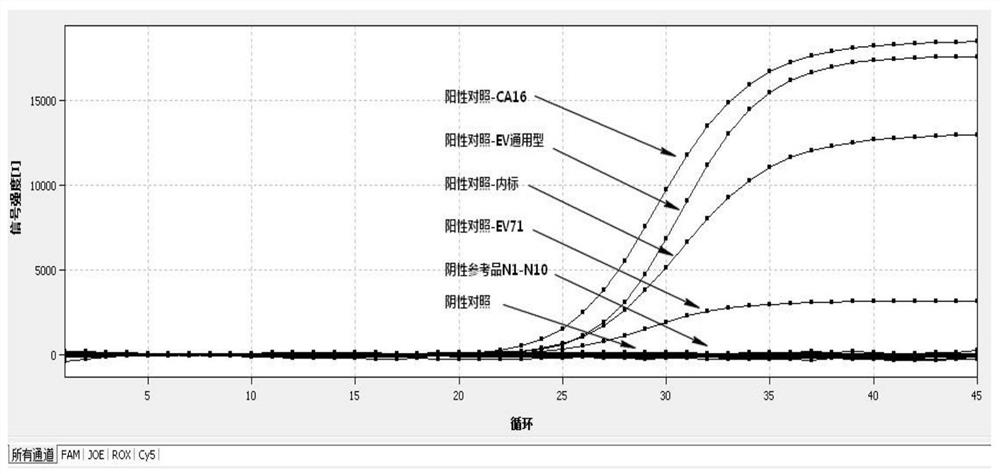 Universal nucleic acid detection reagent for enteroviruses EV71, CA16 and EV