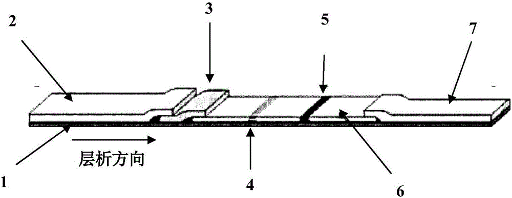 Colloidal gold immunochromatography test strip and preparing and use method thereof