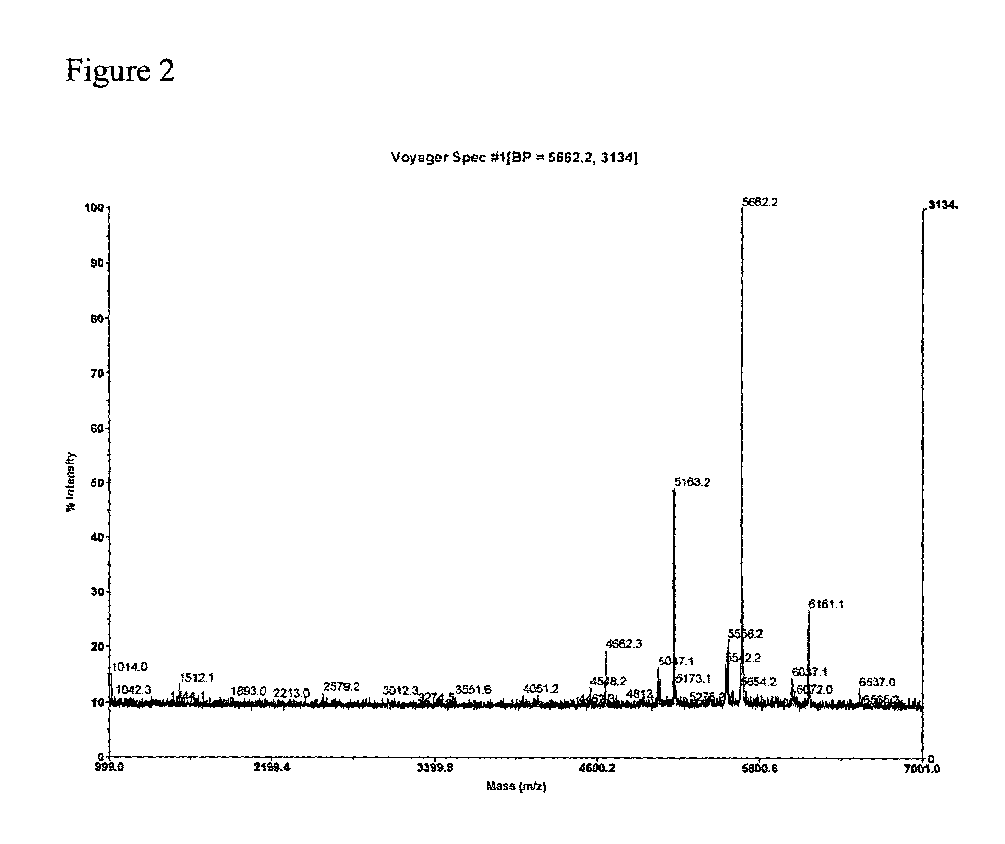 Chemical synthesis of low molecular weight polyglucosamines and polygalactosamines