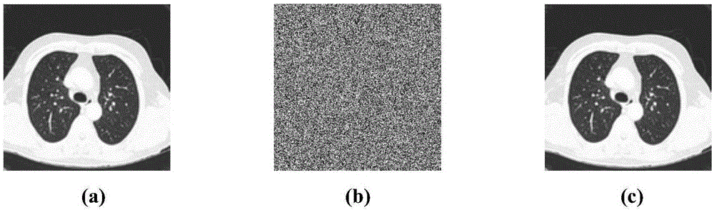 Image encryption algorithm based on blocking DNA encoding and even scrambling