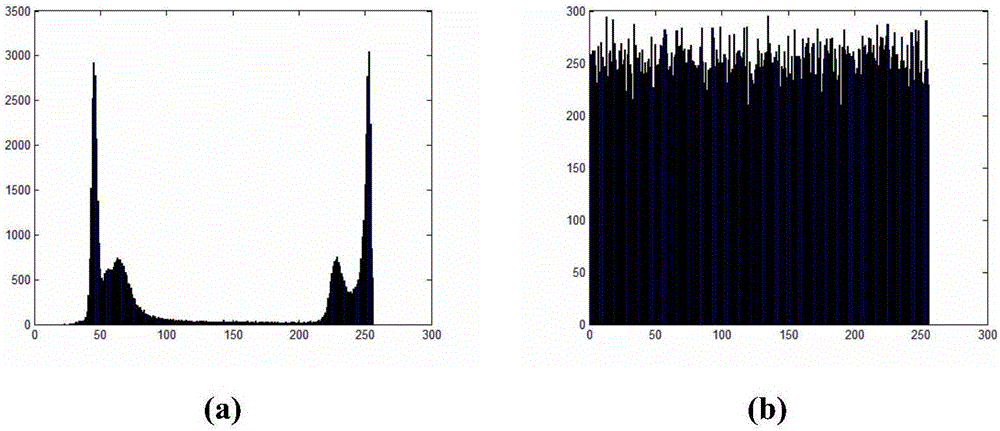 Image encryption algorithm based on blocking DNA encoding and even scrambling