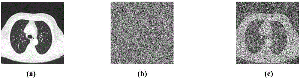 Image encryption algorithm based on blocking DNA encoding and even scrambling