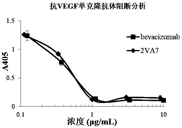 Anti-VEGF monoclonal antibody and preparation method and application thereof