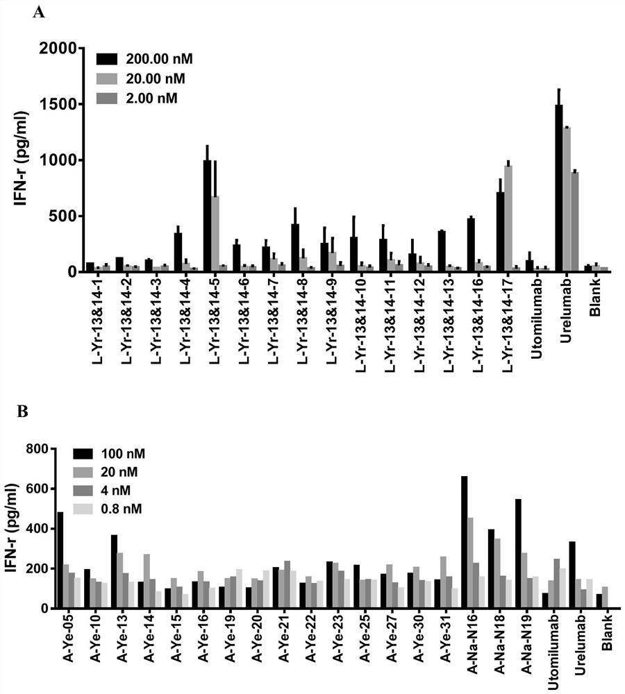 Antibody targeting 4-1BB and application thereof