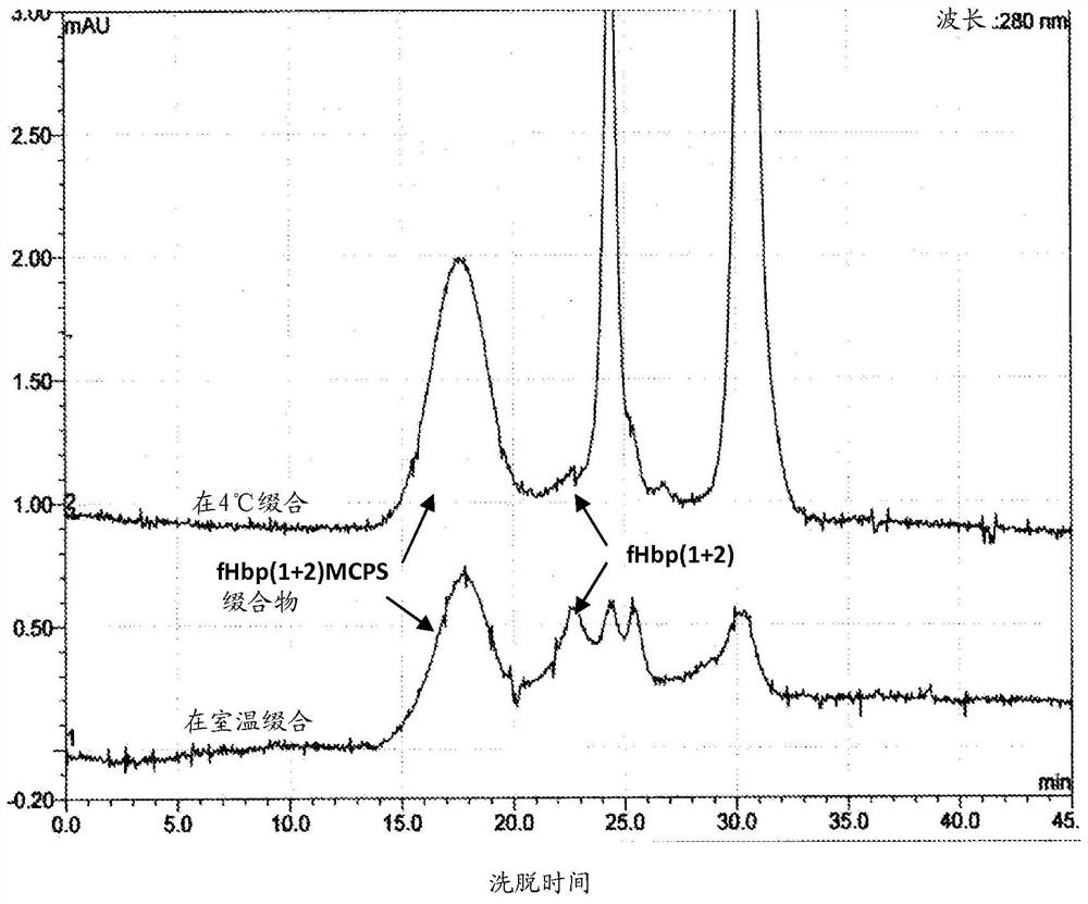 Multivalent meningococcal conjugates and methods of making conjugates