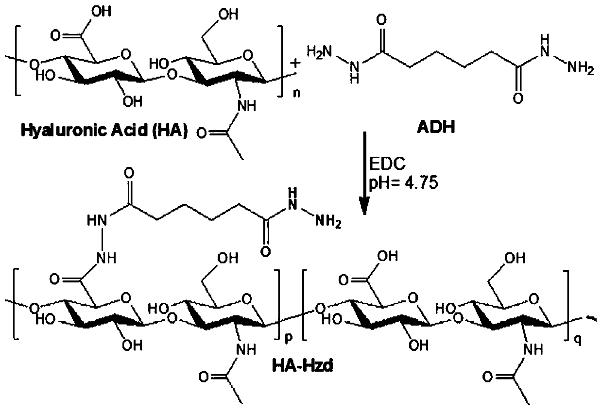 Method for catalytic oxidation and functional modification of hydrogel material