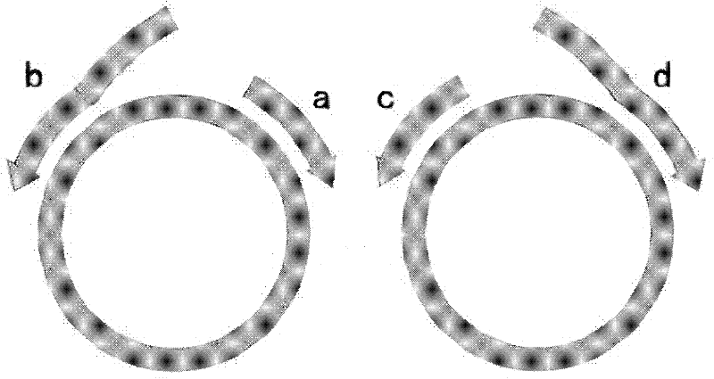 Constructing method of oligo-amino acid plasmid