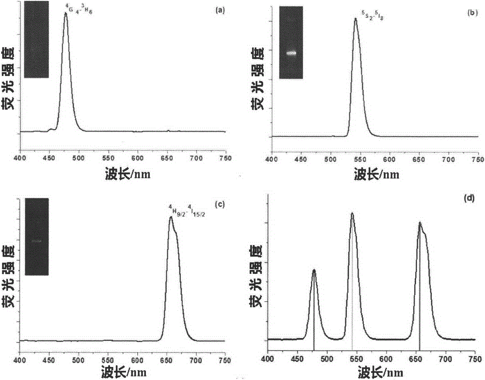 A Method for Simultaneous Detection of Three Foodborne Pathogenic Bacteria Based on Multicolor Upconversion Fluorescent Labeling