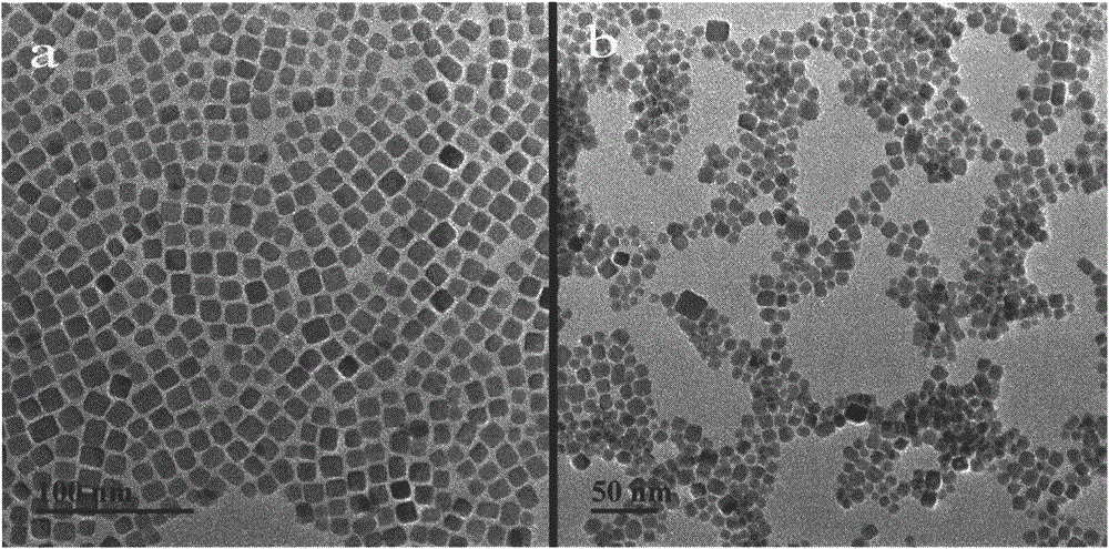 A Method for Simultaneous Detection of Three Foodborne Pathogenic Bacteria Based on Multicolor Upconversion Fluorescent Labeling