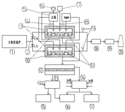 Biomass boiler denitration system