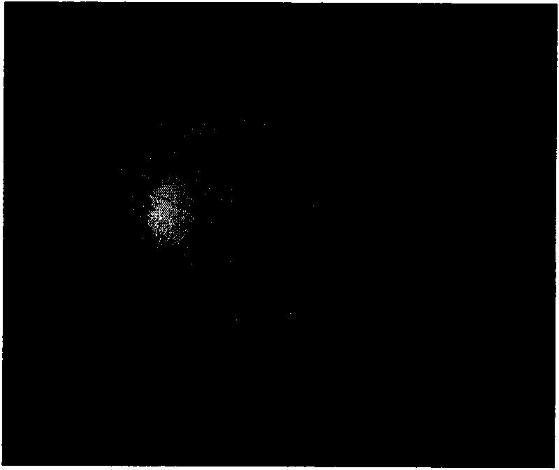 Visible light image registration method based on salient region