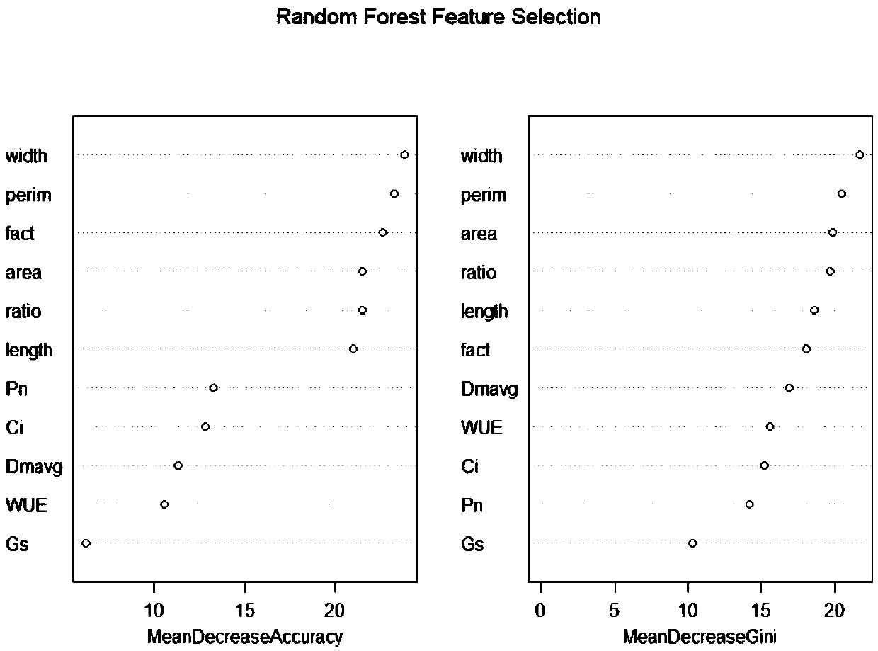 Methods for constructing and predicting leaf trait of woody plant and photosynthetic characteristic model based on DNA methylation level