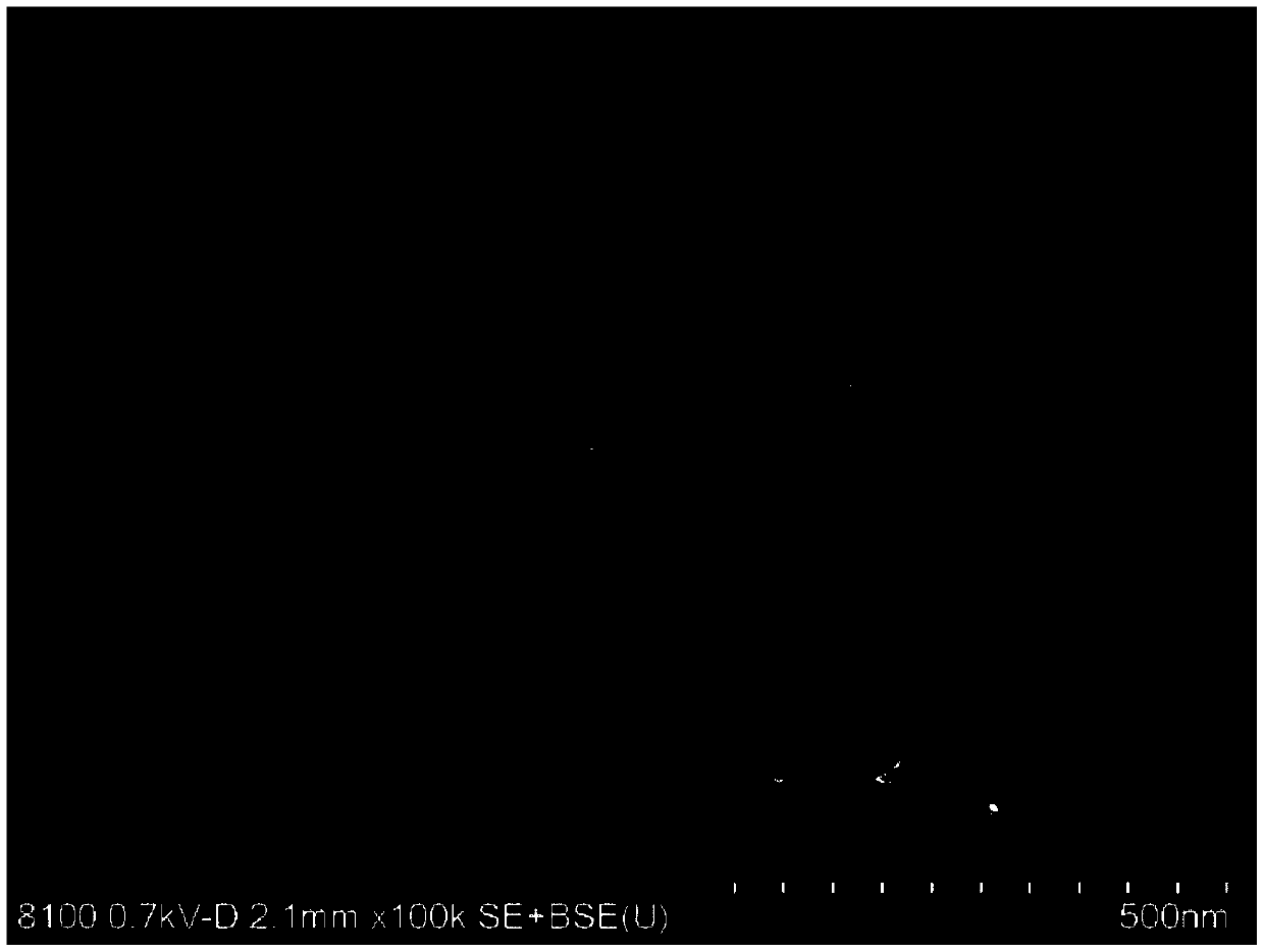 Scanning electron microscope testing method for iron phosphate sample