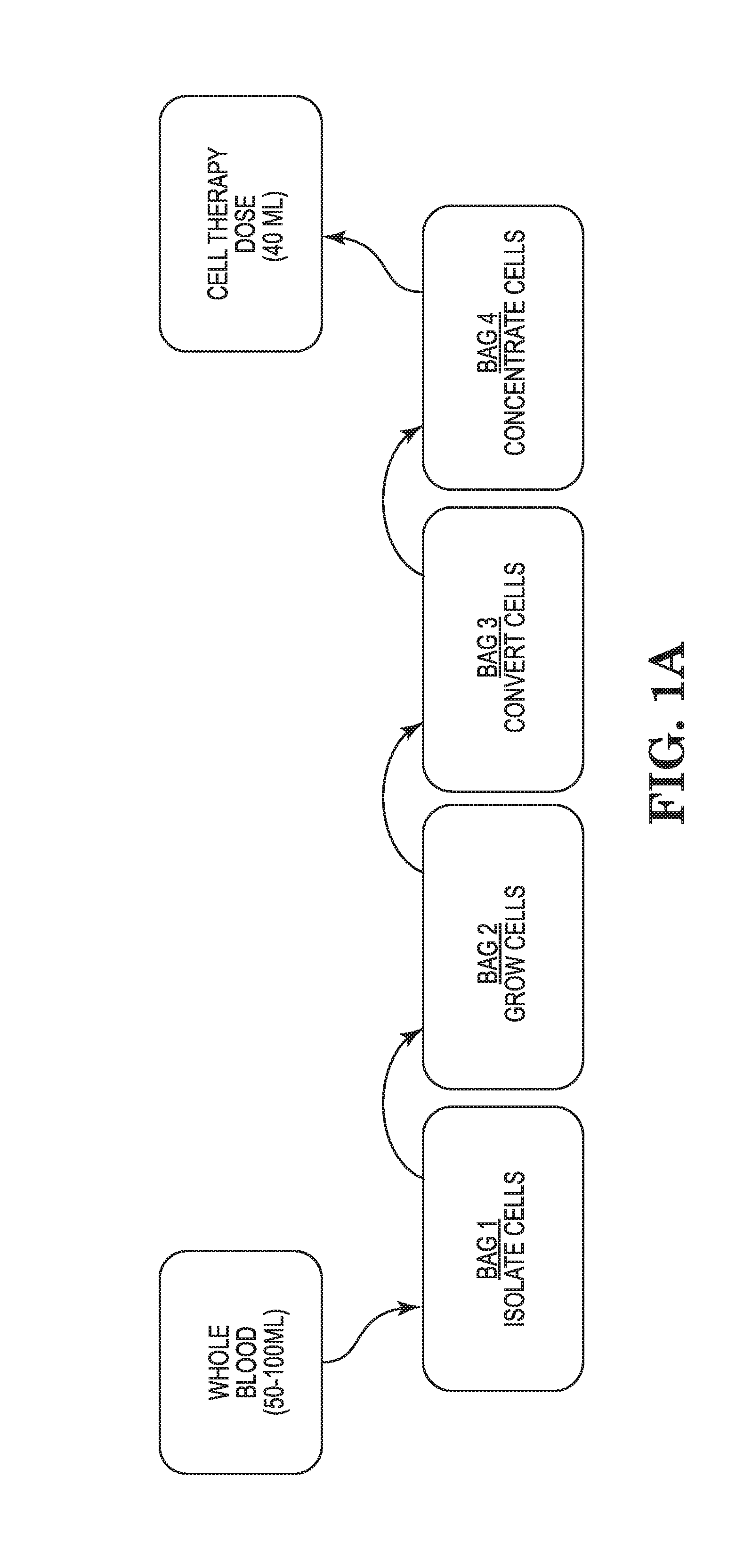 Capture system of cells and methods