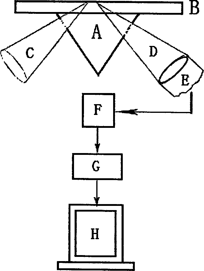 False complementary peptide nucleic acid probe biochip and detection method based on SPR principle