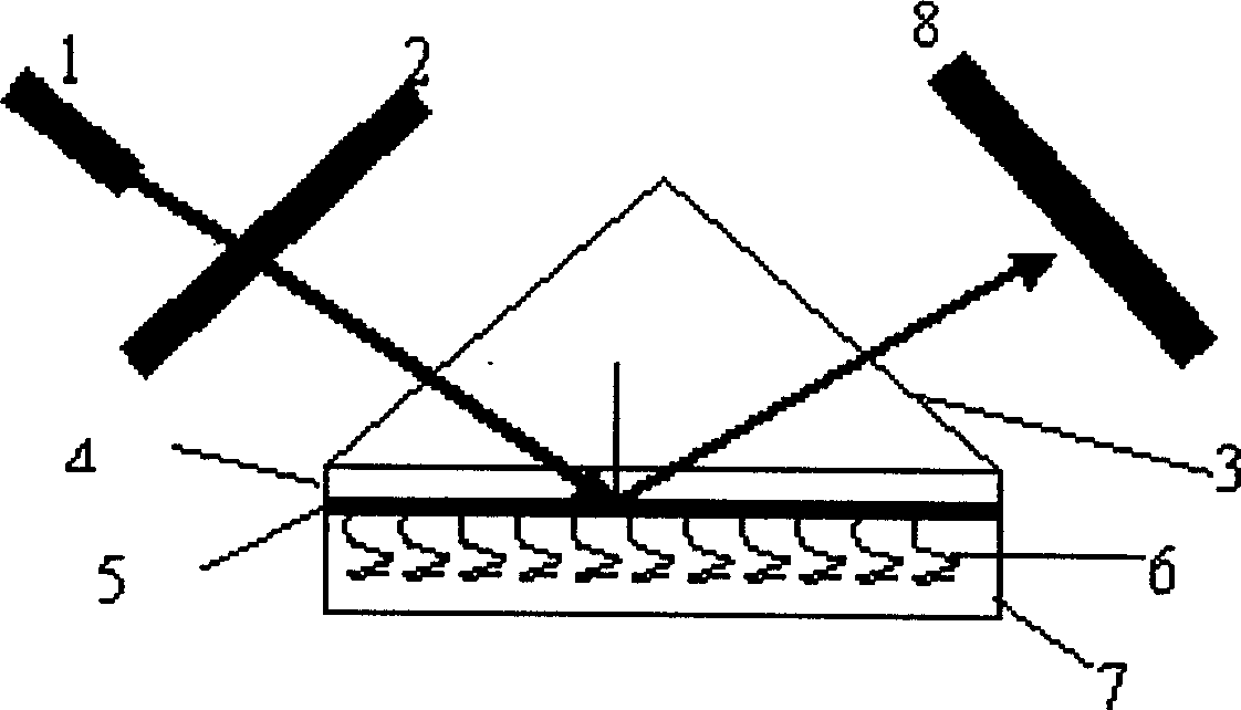 False complementary peptide nucleic acid probe biochip and detection method based on SPR principle