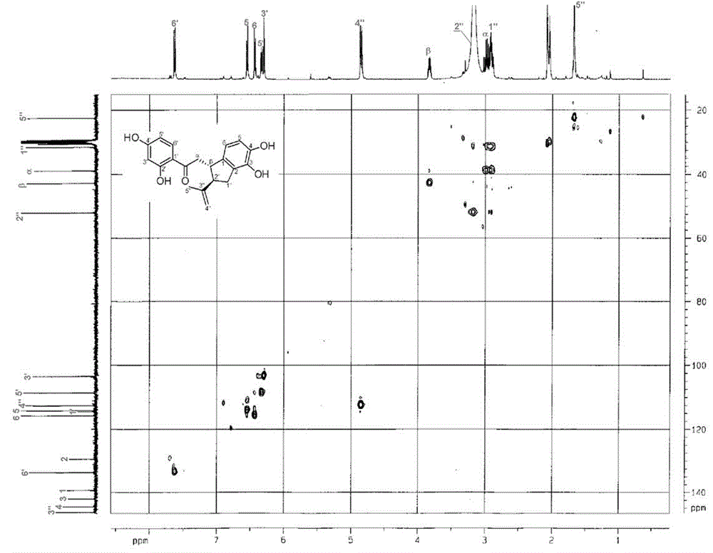 Application of chalcone compound in preparation of anti-tobacco mosaic virus drugs