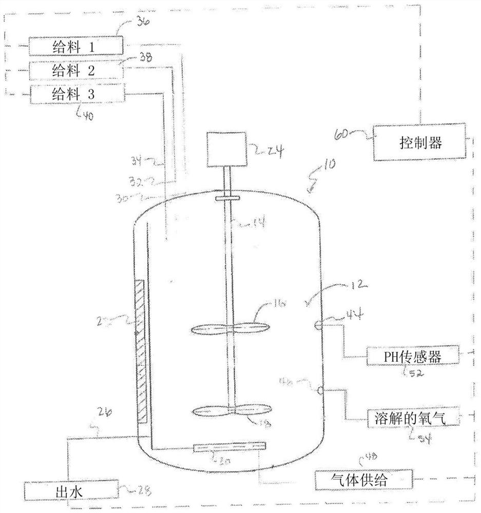 Process and system for propagating cell cultures while preventing lactate accumulation