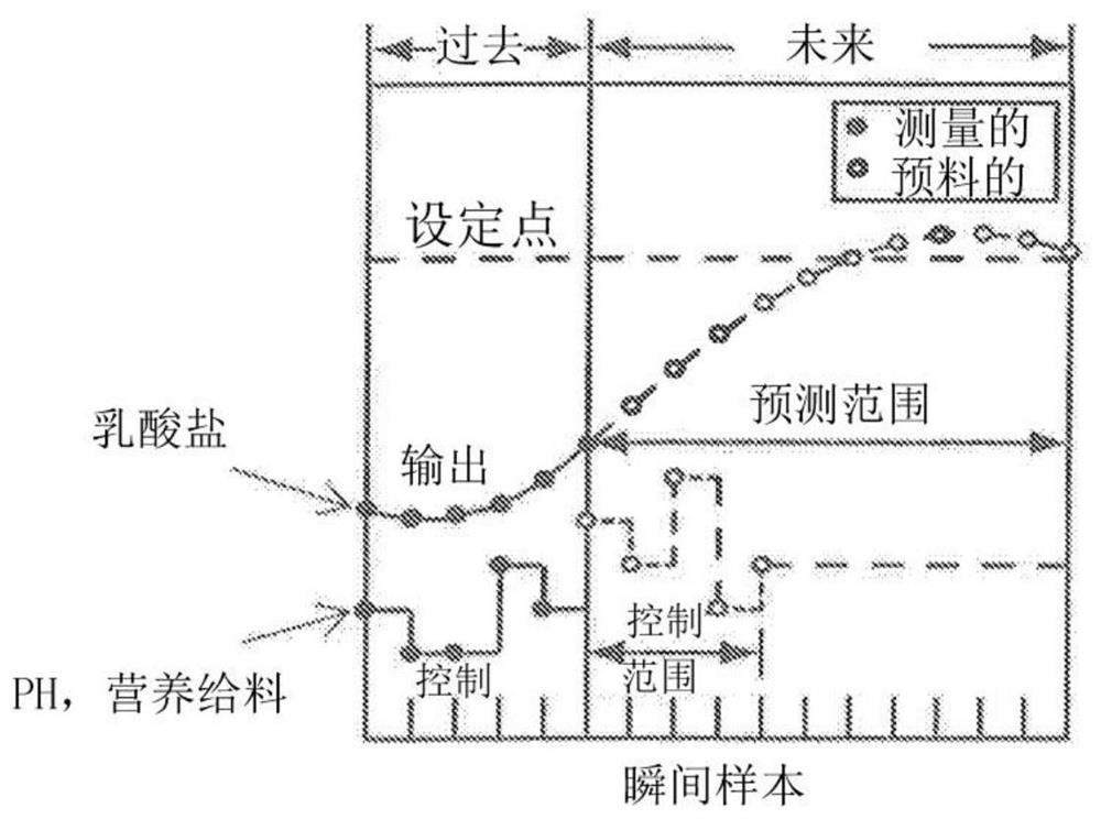 Process and system for propagating cell cultures while preventing lactate accumulation