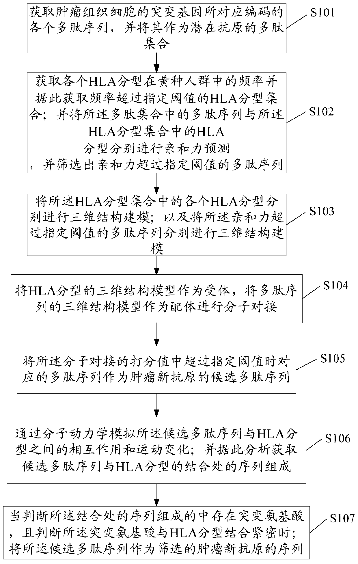 Method for screening tumor neoantigen based on HLA typing and structure