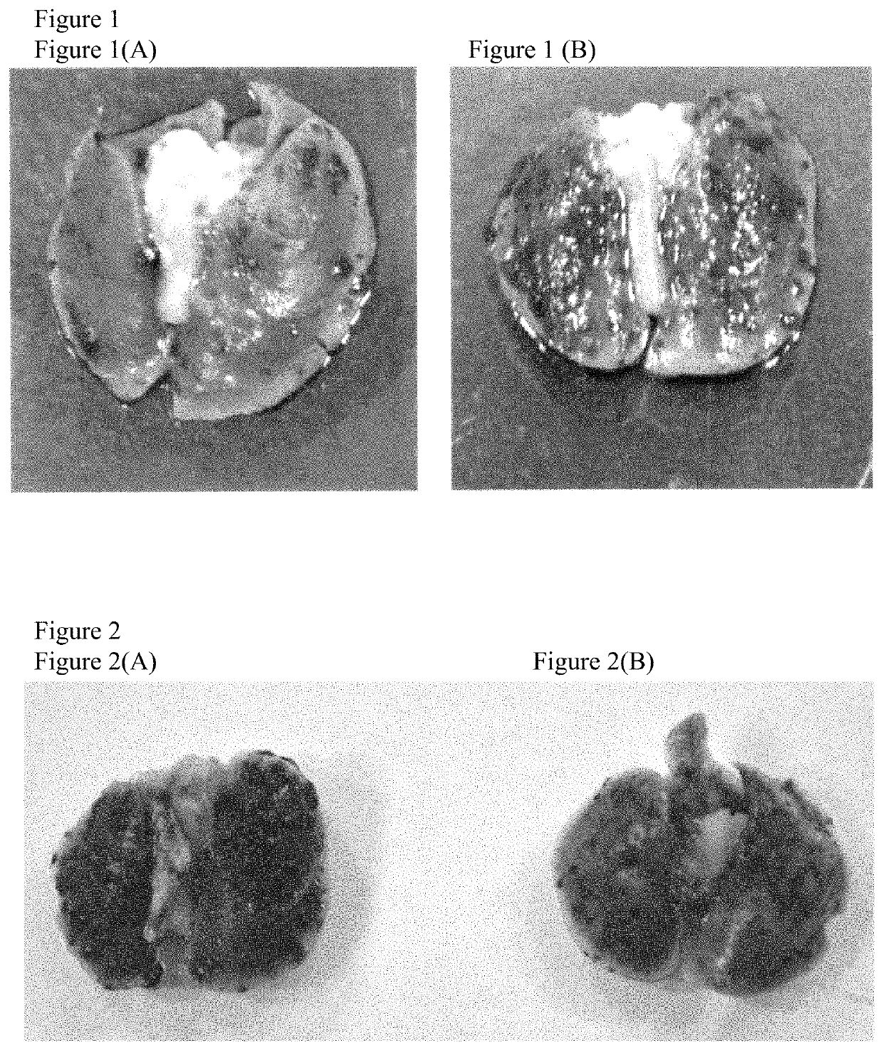 Herbal composition for inhibiting melanoma cell metastasis and manufacturing method thereof