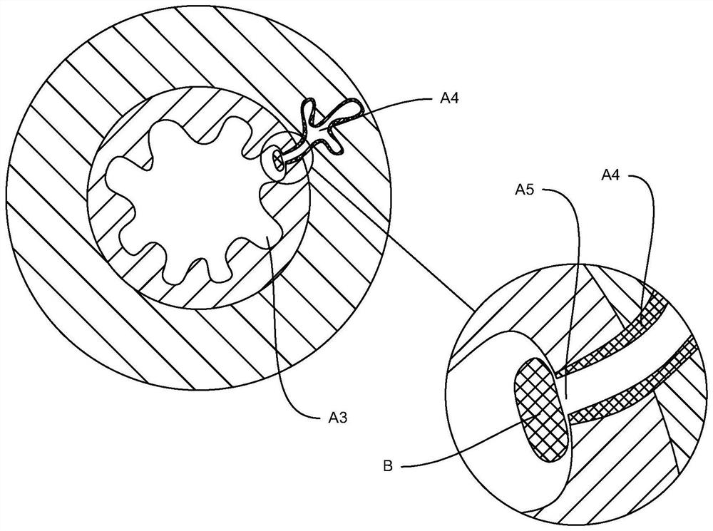 Rectal administration device