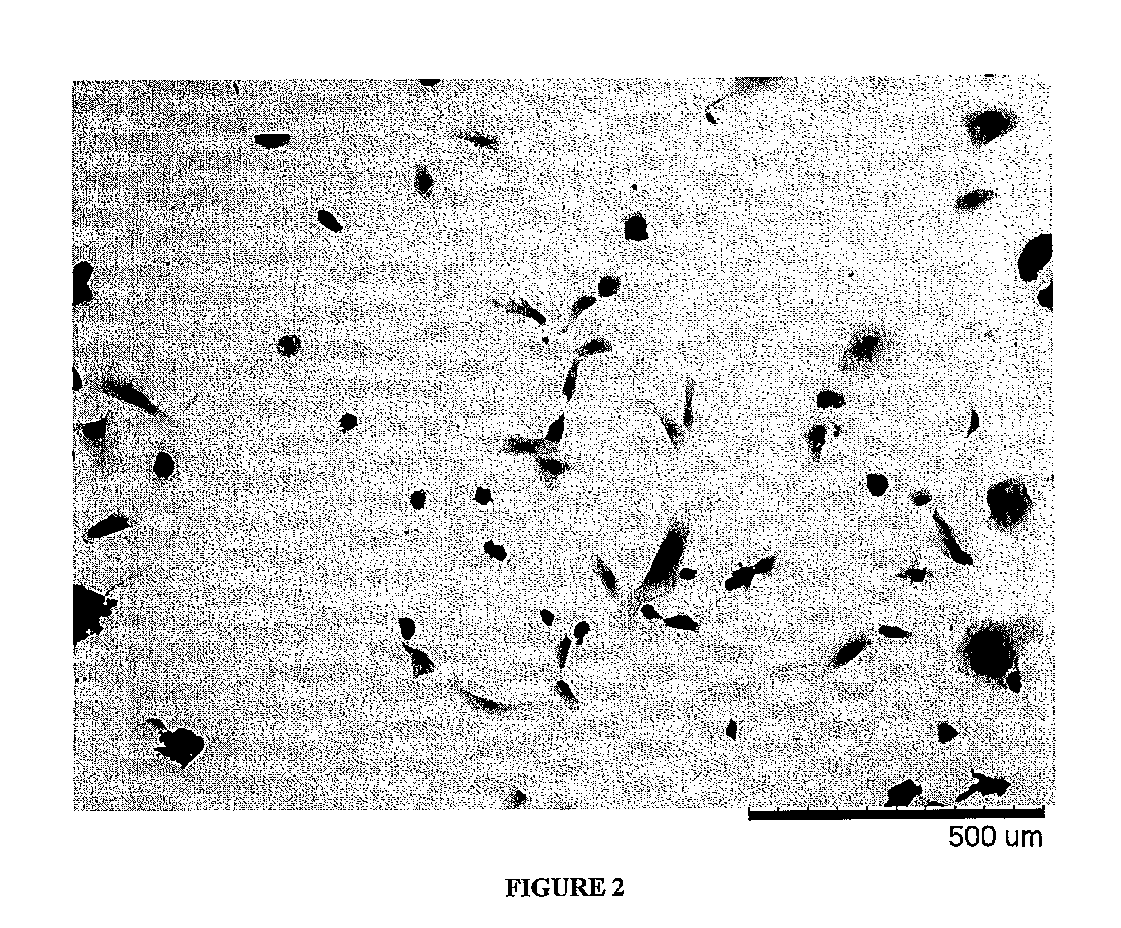 Methods for improving the bioactivity characteristics of a surface and objects with surfaces improved thereby