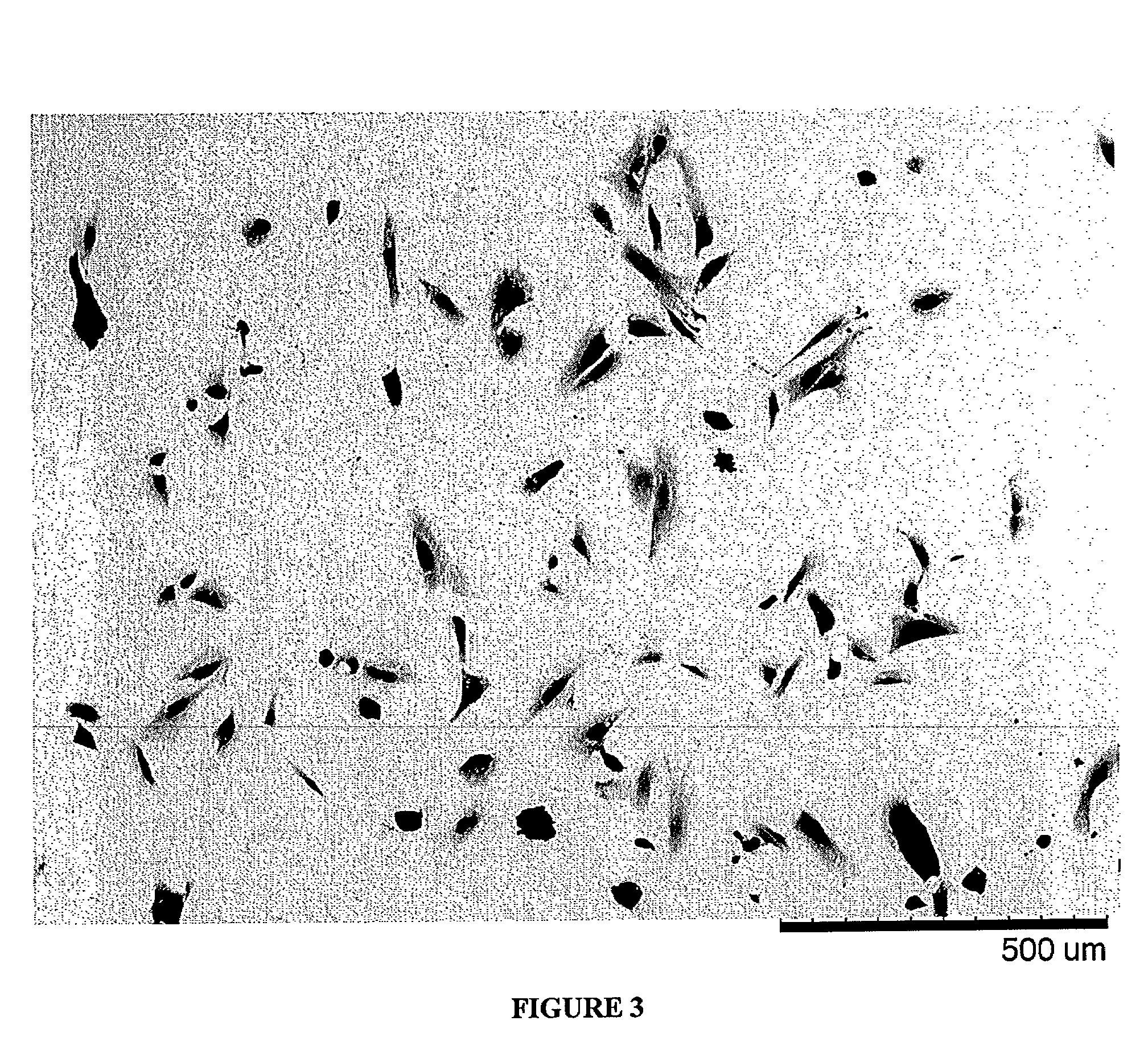 Methods for improving the bioactivity characteristics of a surface and objects with surfaces improved thereby