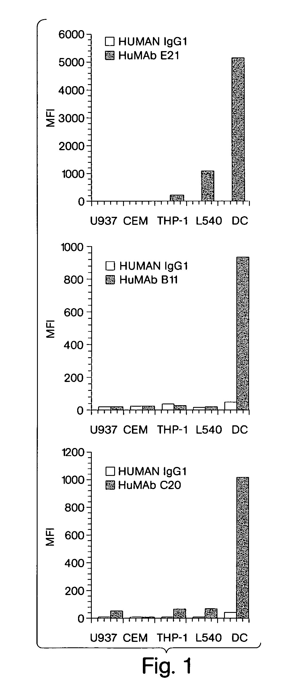 Human monoclonal antibodies to dendritic cells