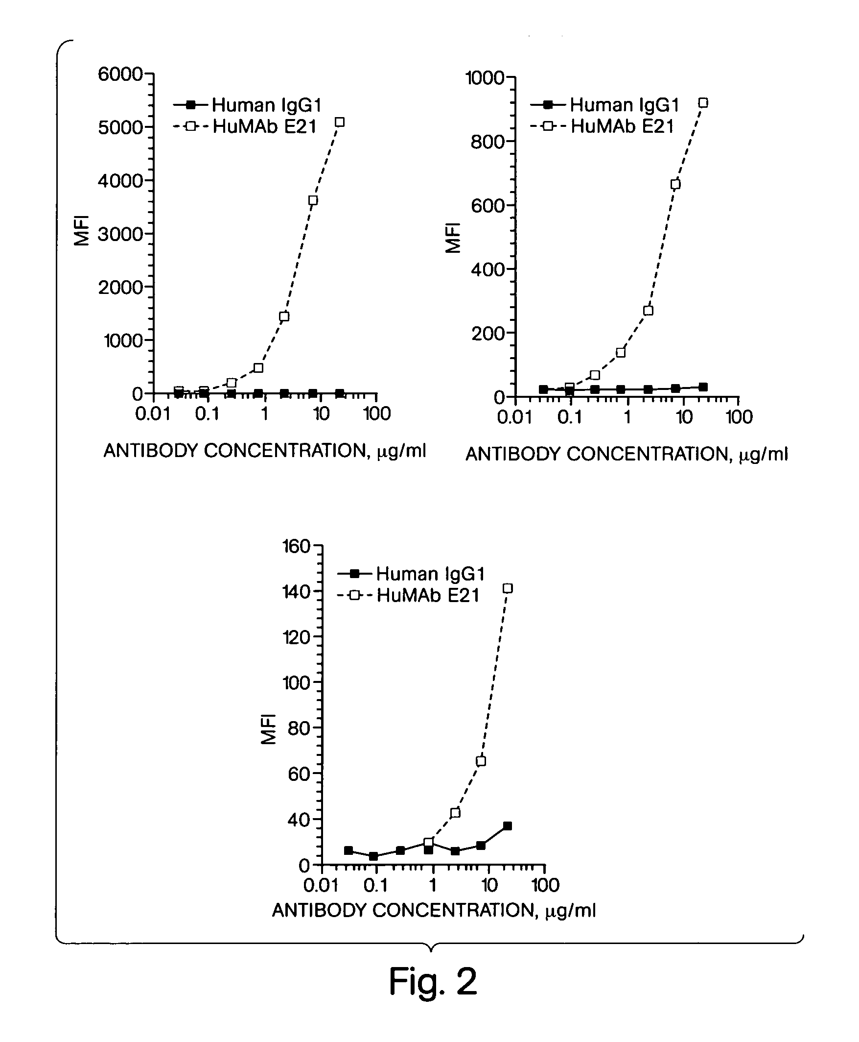 Human monoclonal antibodies to dendritic cells