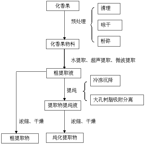 Platycarya fruit extract with anti-oxidization function and preparation method of platycarya fruit extract