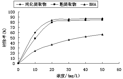 Platycarya fruit extract with anti-oxidization function and preparation method of platycarya fruit extract