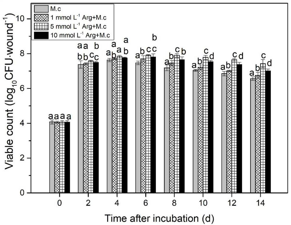 Application of arginine in preparation of preservative for improving generation capacity and biocontrol effect of Metschnikowia citriensis pulcherriminic acid