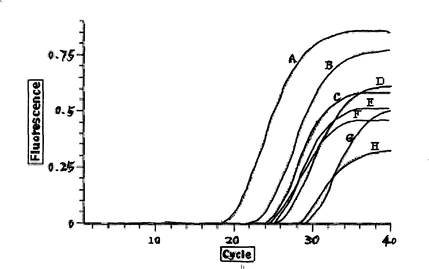 Fluorescent quantitative RT-PCR detection kit and detection method for enterovirus