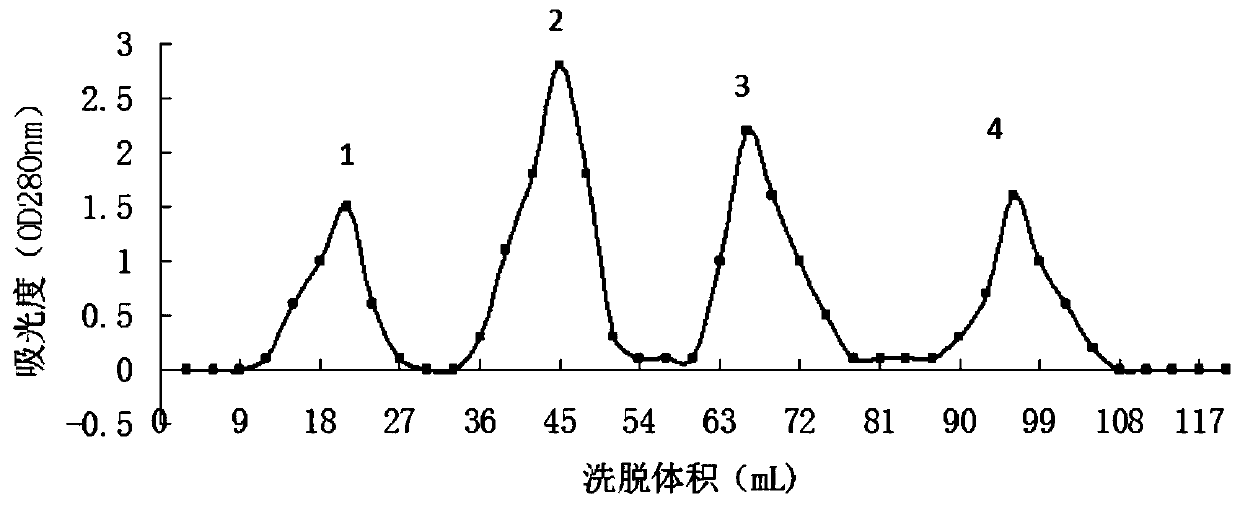 Tetraodontidae symbiotic bacterium with primary production of tetrodotoxin and application thereof