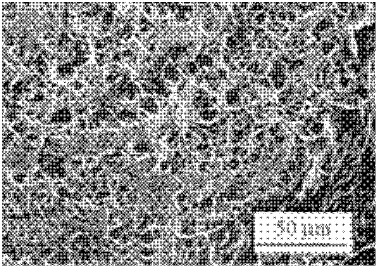 Inorganic nanometer gas condensation sand insulation material and preparation method thereof