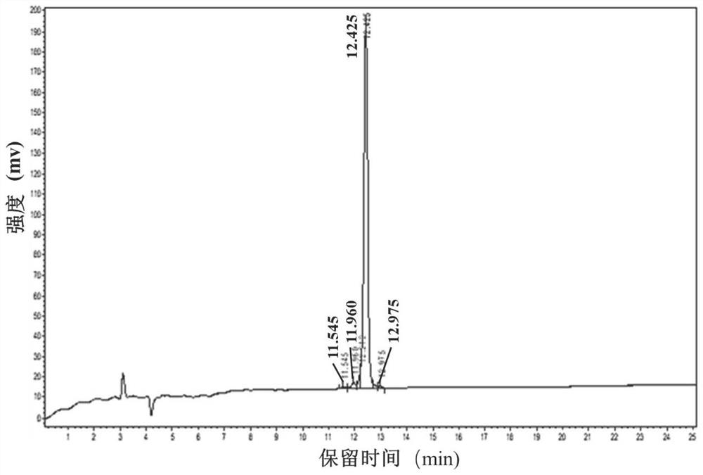 Anti-obesity peptide and application thereof