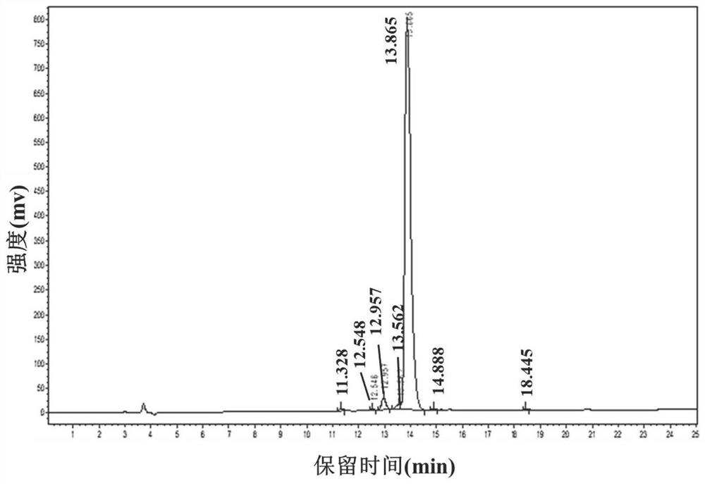 Anti-obesity peptide and application thereof