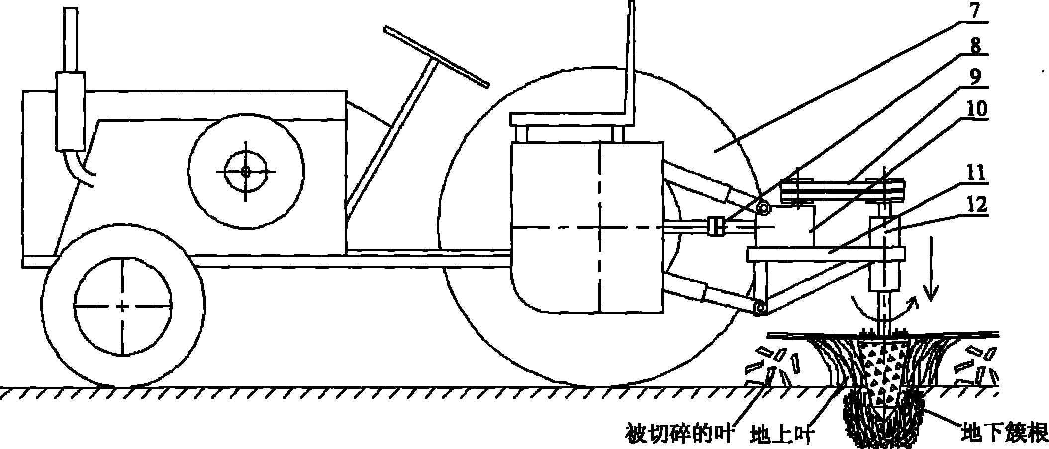 Device for removing leaves and crushing roots of iris lactea