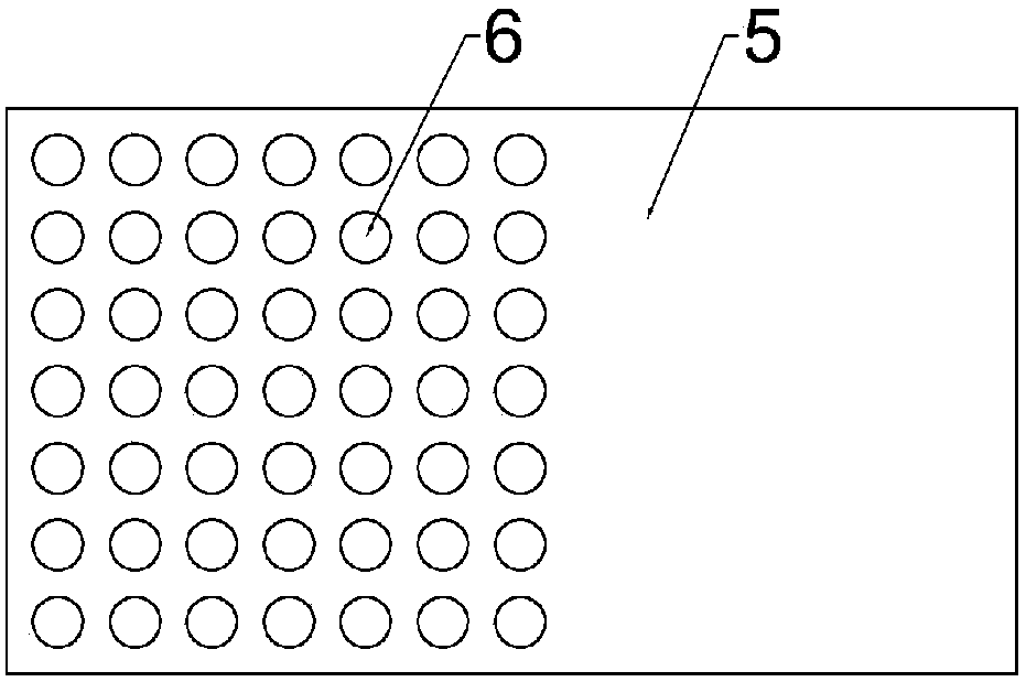 Washing device for large hard food material processing