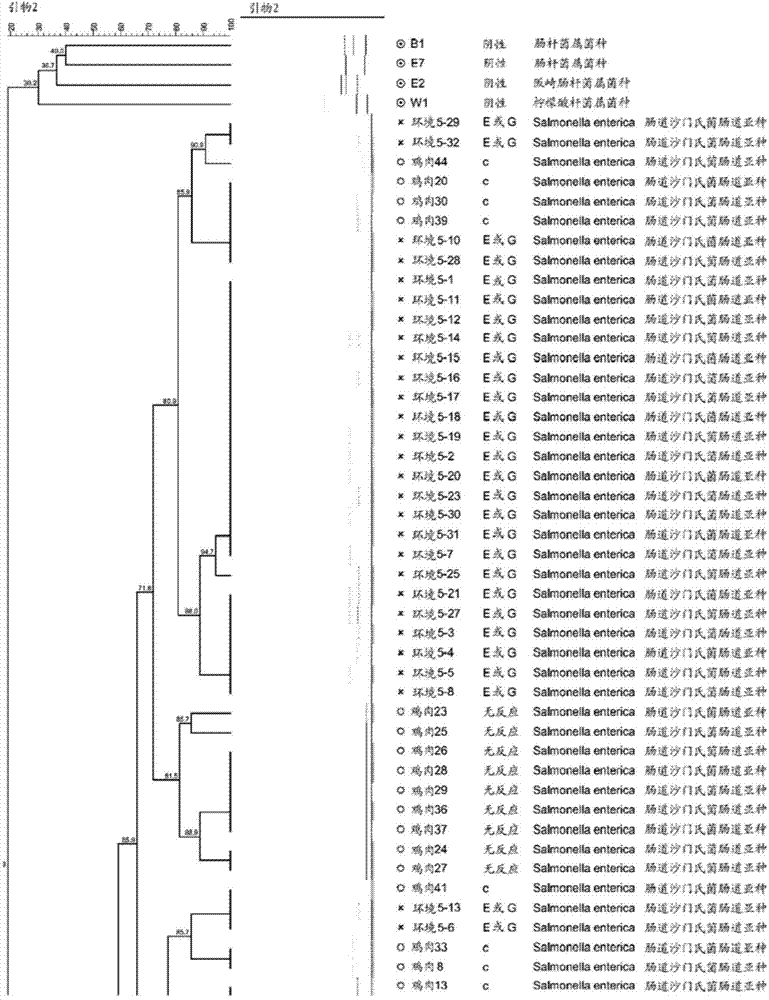 Composition comprising fermentation products from bacillus subtilis