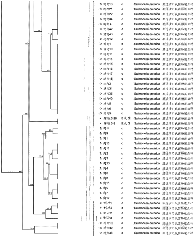 Composition comprising fermentation products from bacillus subtilis