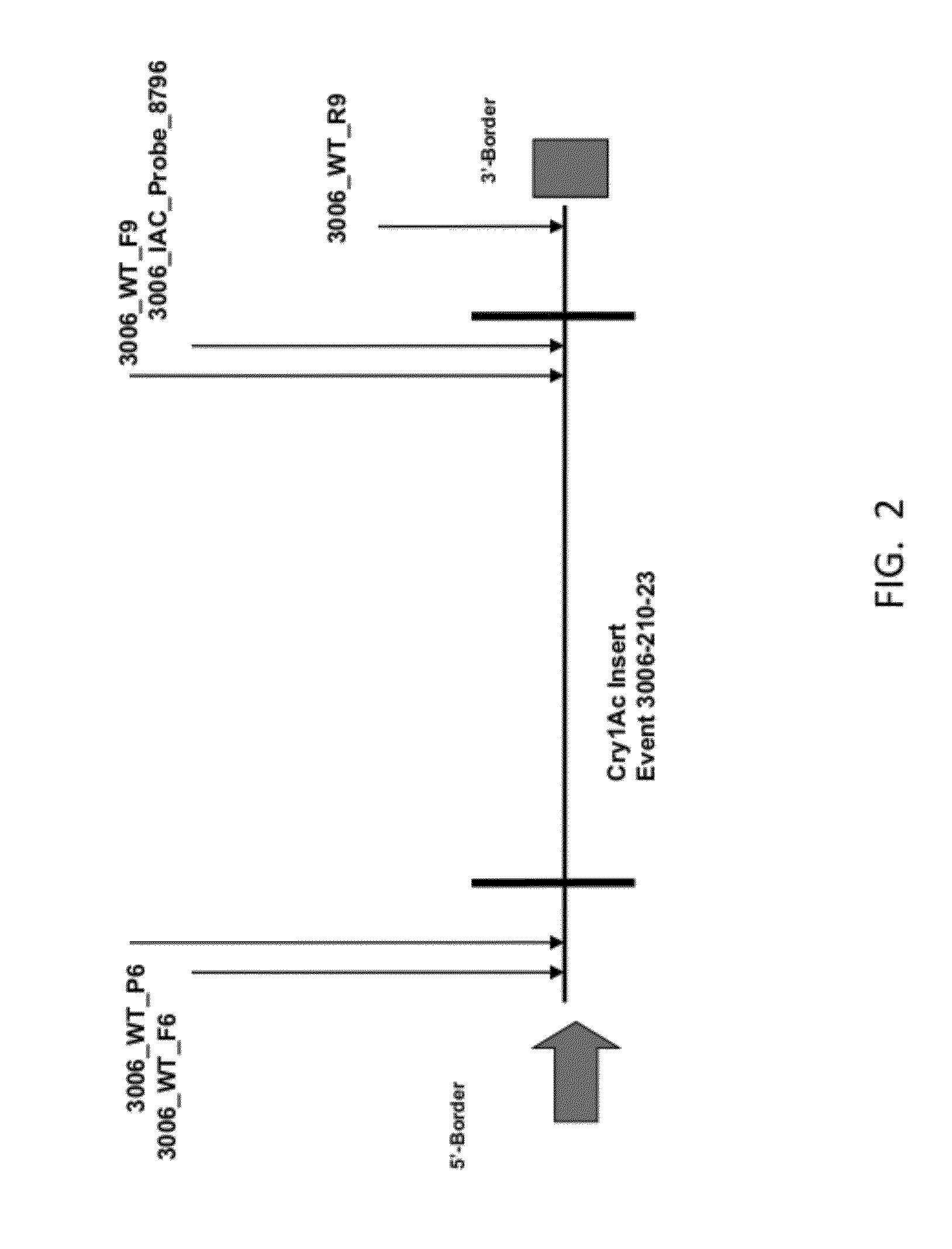 Endpoint TaqMan methods for determining zygosity of cotton comprising Cry1Ac event 3006-210-23