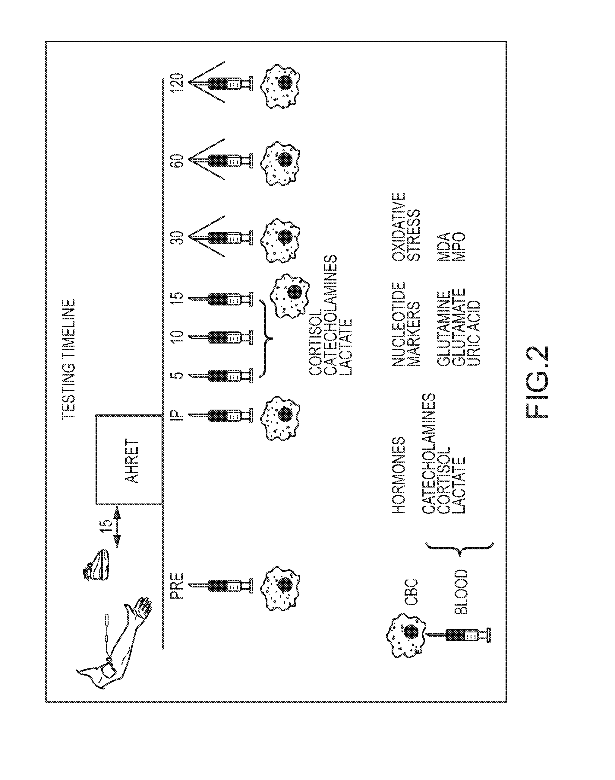 Nutritional products and methods of improving exercise performance and reducing exercise induced impairment of immune function