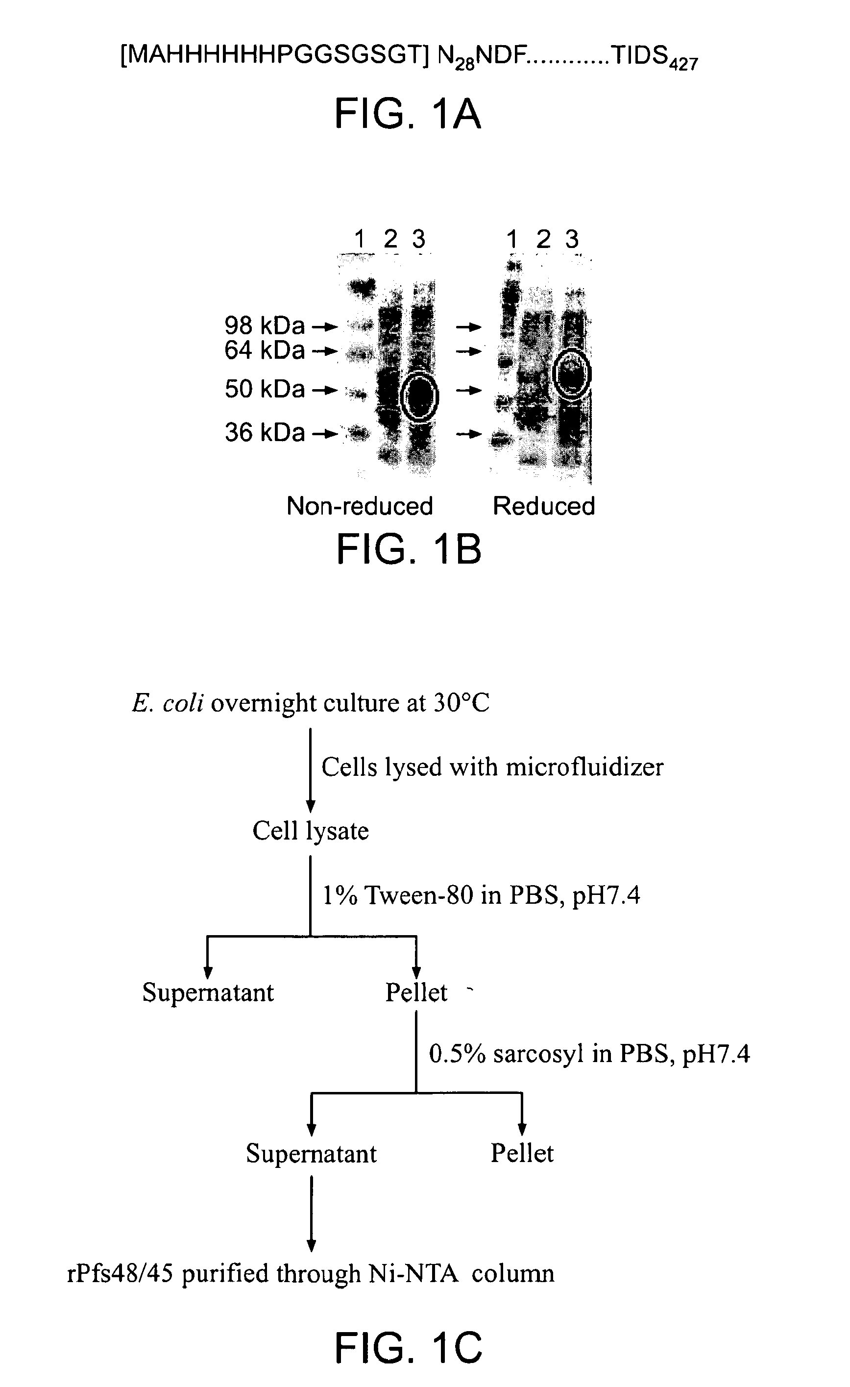 Malaria vaccine