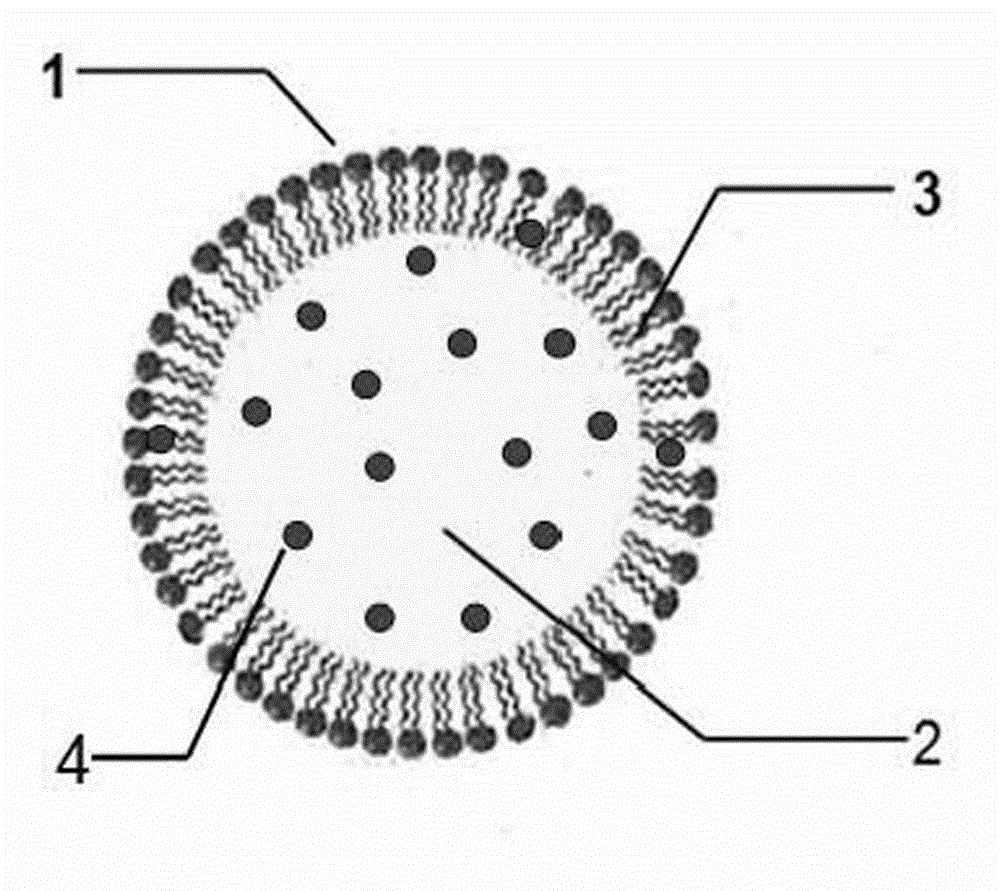 Norcantharidin derivative lipid microsphere injection and preparation method thereof