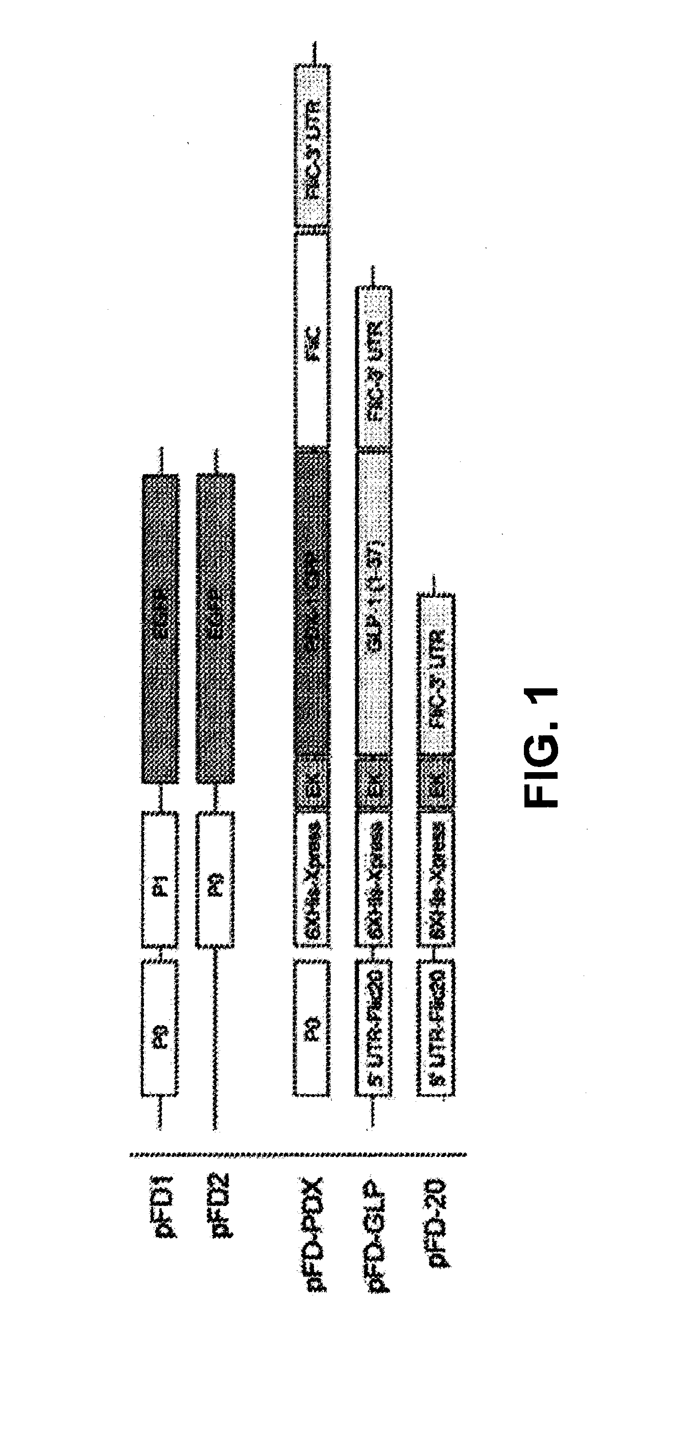 Compositions and methods for treating endocrine, gastrointestinal or autoimmune disorders